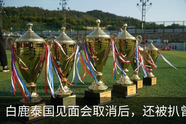 白鹿泰国见面会取消后，还被扒曾为缅北拍宣传片，知情人爆料更多